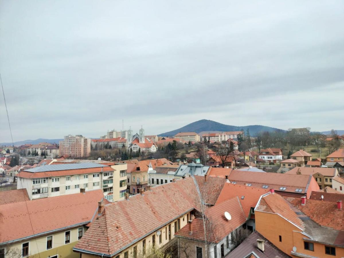 Apartamento Nexus Center Miercurea Ciuc Exterior foto